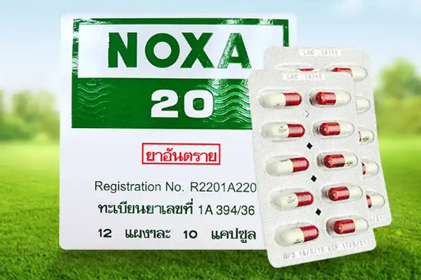 泰国娜莎noxa20号痛风药中文详细说明书 泰国娜莎noxa20号痛风药中文详细说明书