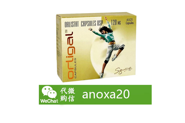 印度奥利司他胶囊 印度奥利司他胶囊