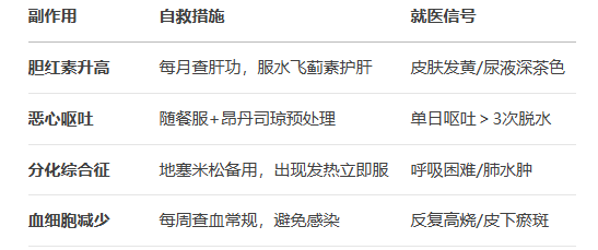 恩西地平说明书