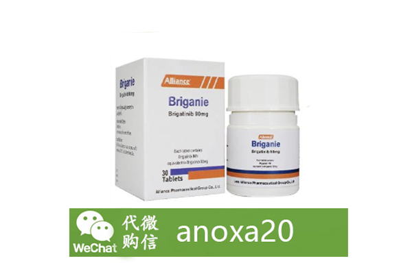 布加替尼 布加替尼